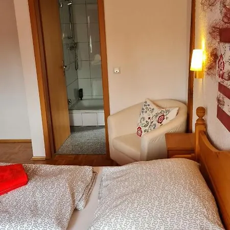 Kartaeuser Hof Mainz *