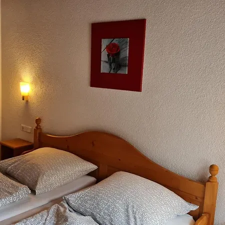 Kartaeuser Hof Mainz * 博登海姆