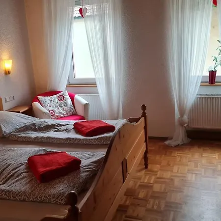 Szálloda Kartaeuser Hof Mainz *