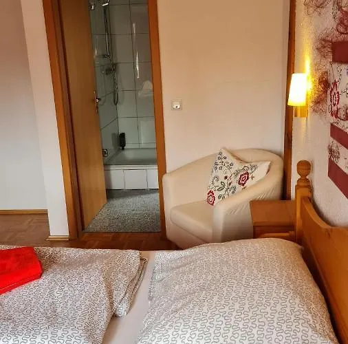 Kartaeuser Hof Mainz *