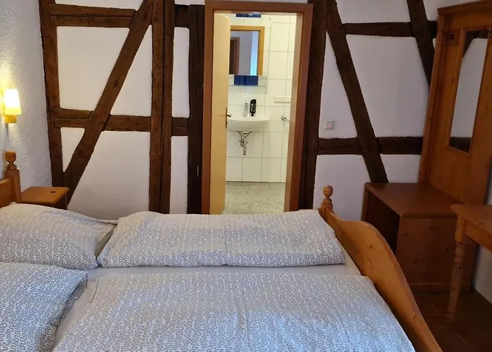 Kartaeuser Hof Mainz * بودينهايم